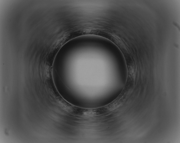 X0000093130470200709261352