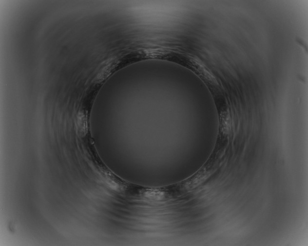 X0000093130471200709261352