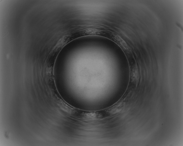 X0000093130473200709261352