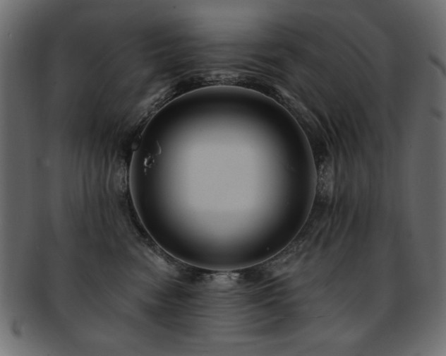 X0000093130474200709261352