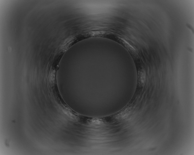 X0000093130475200709261352