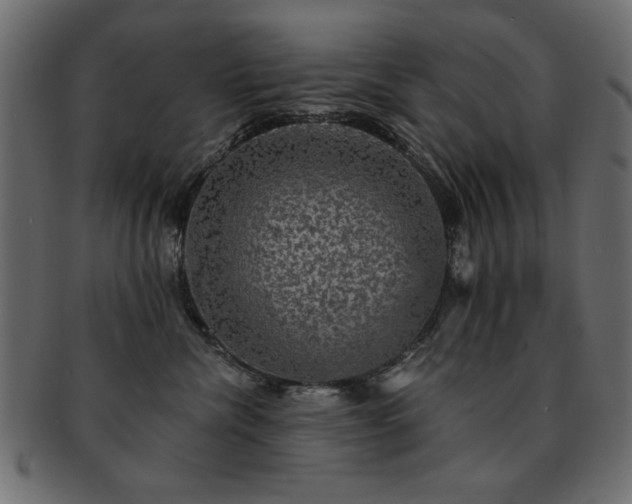 X0000093130476200709261352