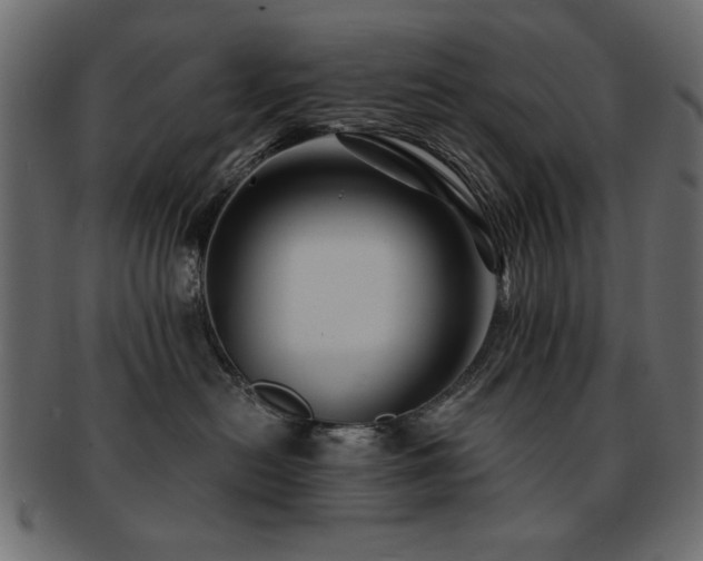 X0000093130478200709261352