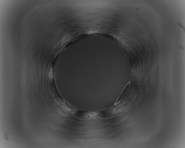 X0000093130479200709261352