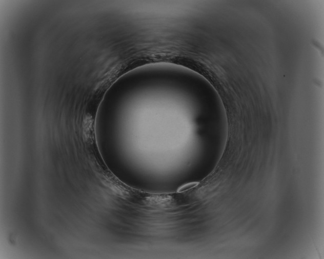 X0000093130480200709261352