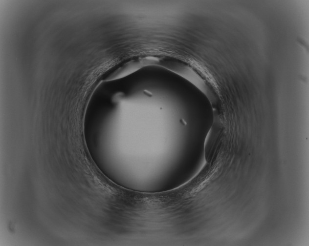 X0000093130481200709261351