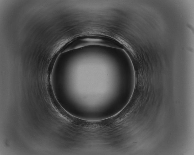 X0000093130485200709261351