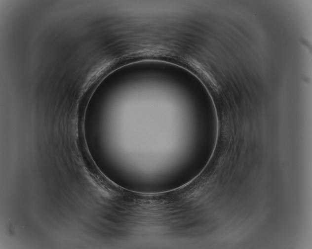 X0000093130486200709261351