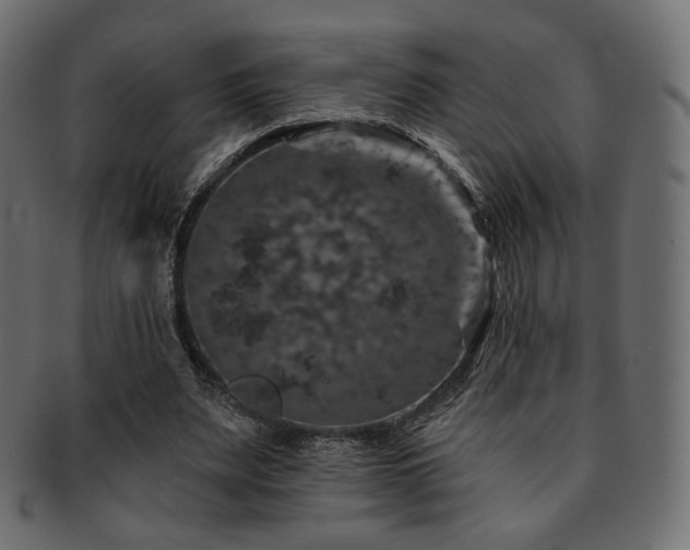 X0000093130487200709261351