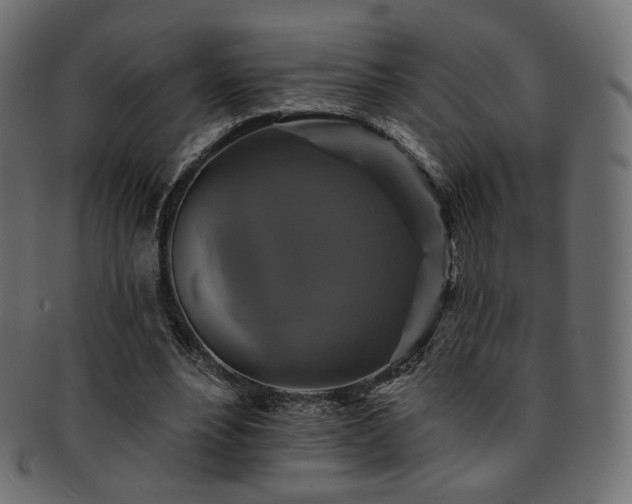 X0000093130488200709261351