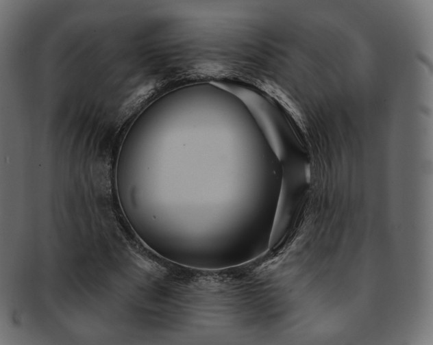 X0000093130489200709261351