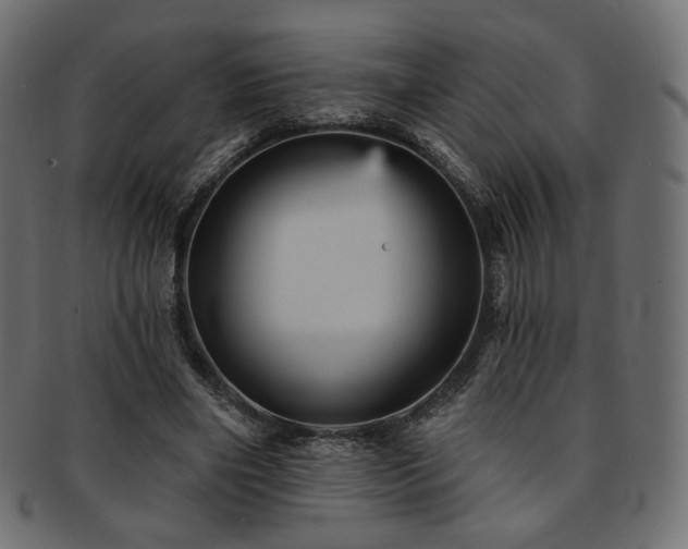 X0000093130490200709261351