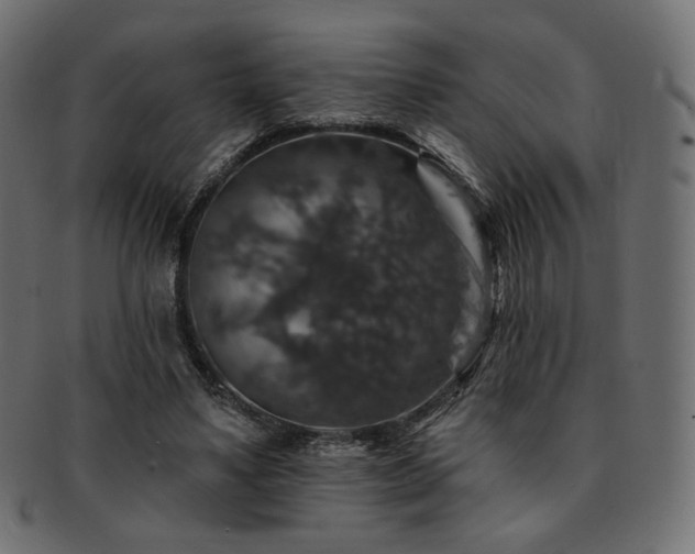 X0000093130491200709261351