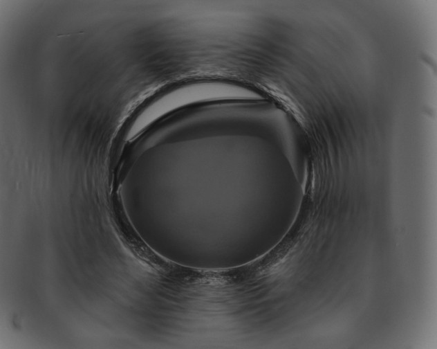 X0000093130492200709261351