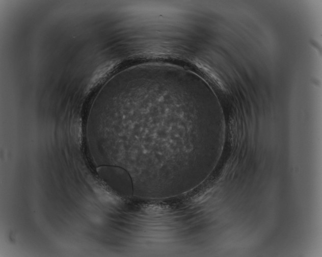 X0000093130494200709261351