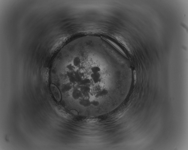 X0000093130495200709261351