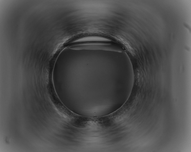 X0000093130496200709261351