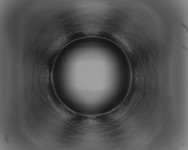 X0000093130498200709261351