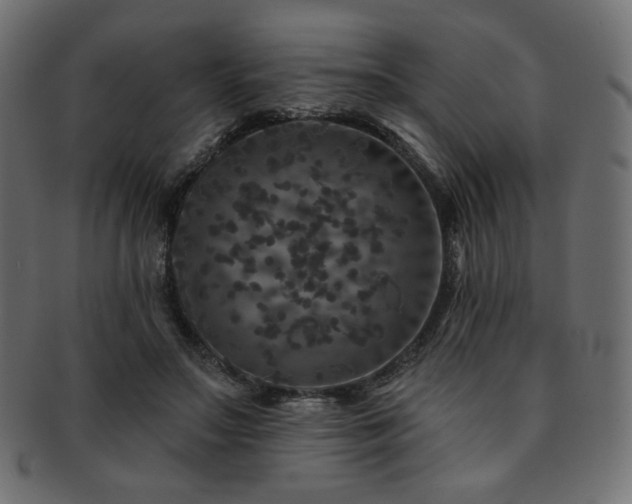 X0000093130499200709261351