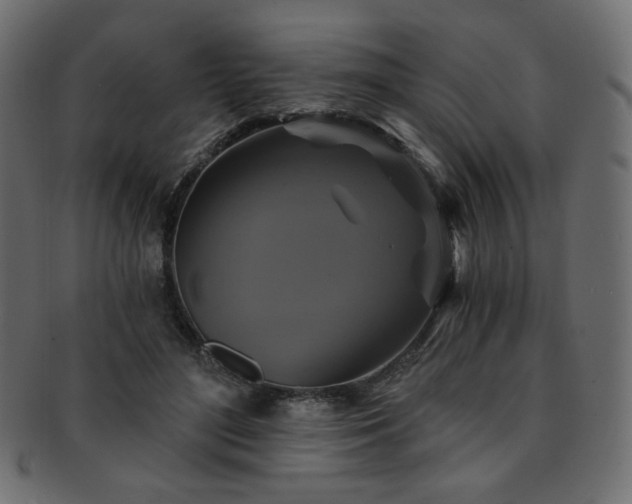 X0000093130500200709261351