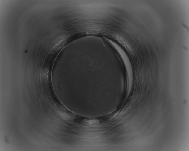 X0000093130501200709261351