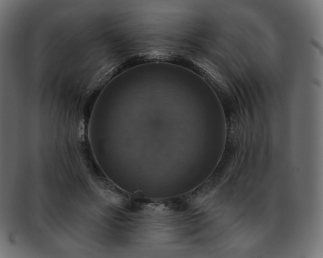 X0000093130502200709261351