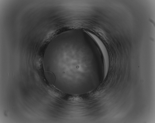 X0000093130503200709261351