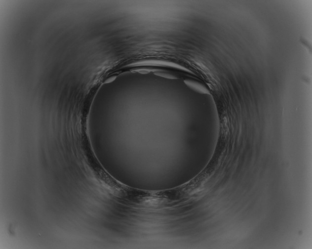 X0000093130504200709261351