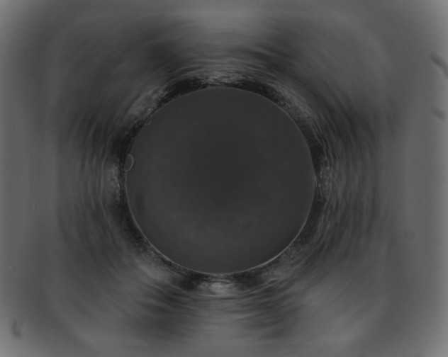 X0000093130506200709261351