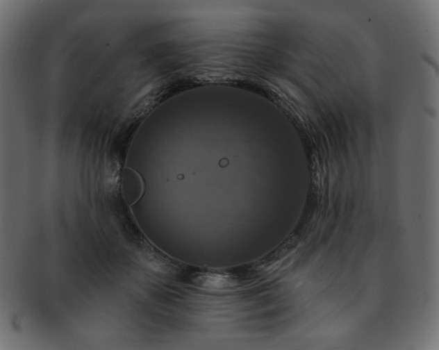 X0000093130507200709261351