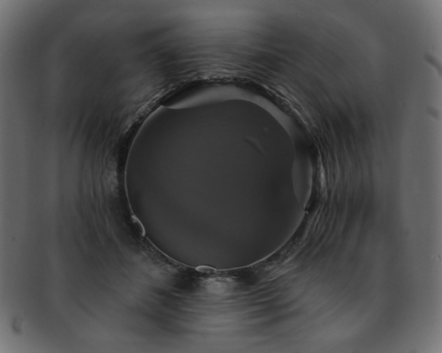 X0000093130508200709261351