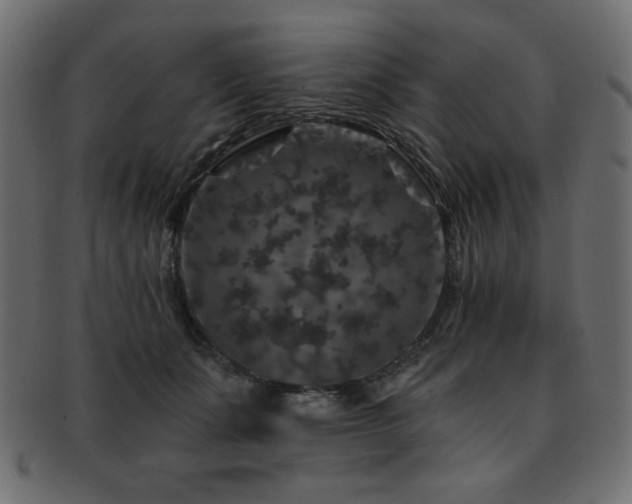 X0000093130511200709261351