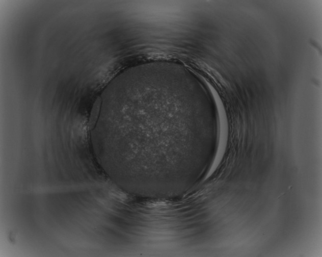 X0000093130513200709261351