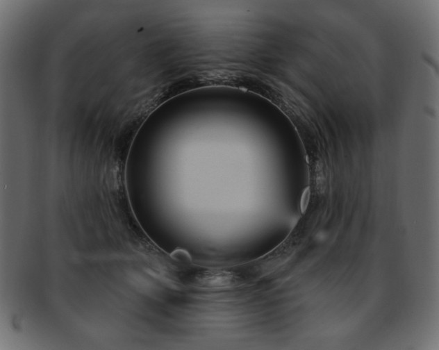 X0000093130514200709261351
