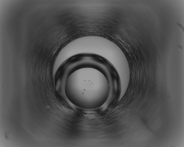 X0000093130516200709261351