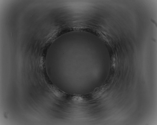 X0000093130519200709261351