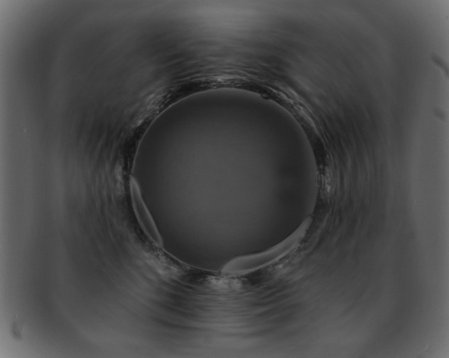 X0000093130520200709261351