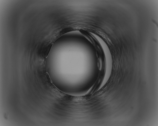 X0000093130521200709261351
