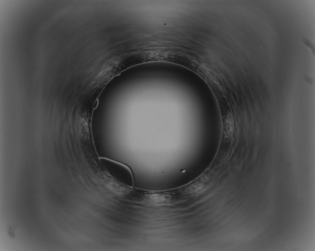 X0000093130522200709261351
