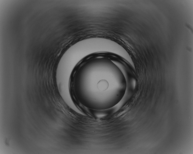 X0000093130524200709261351