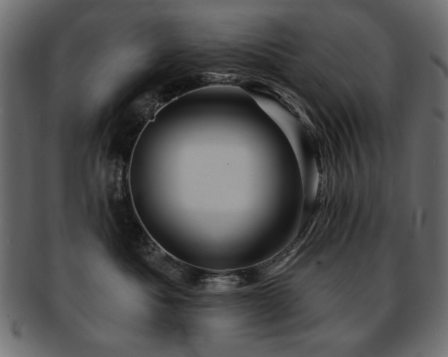 X0000093130525200709261351