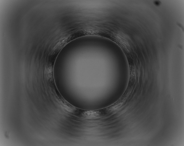 X0000093130526200709261351