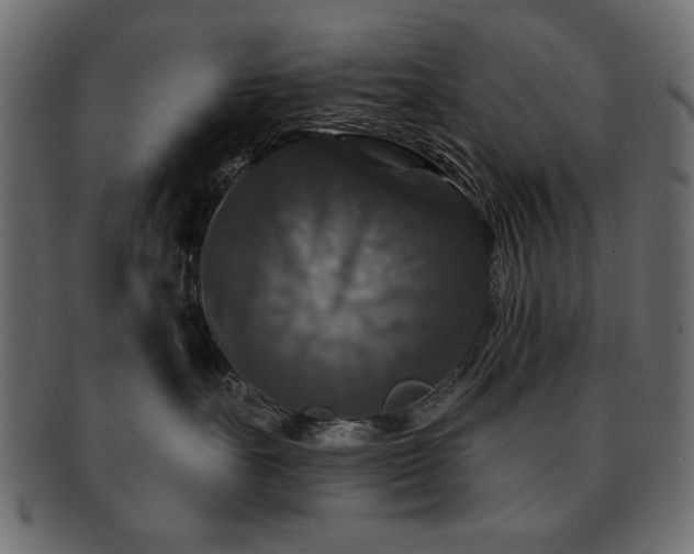 X0000093130527200709261351