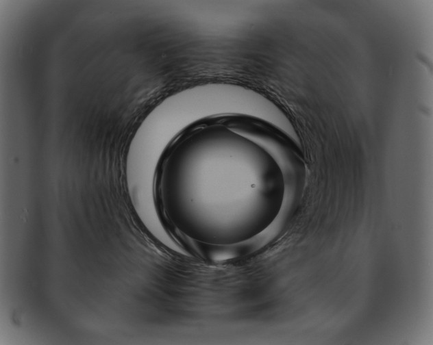 X0000093130528200709261351