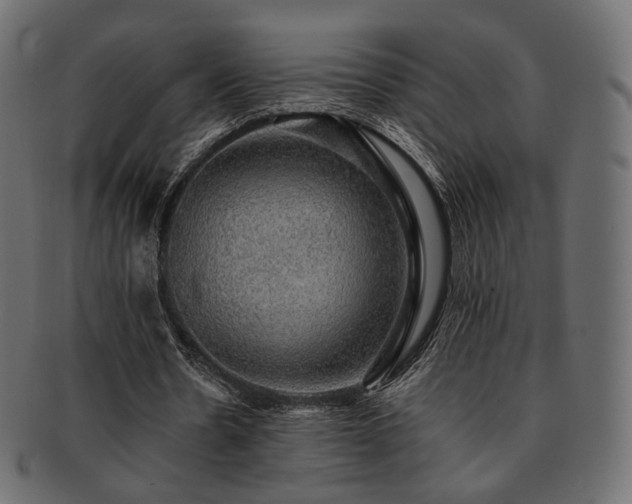 X0000093130530200709261350