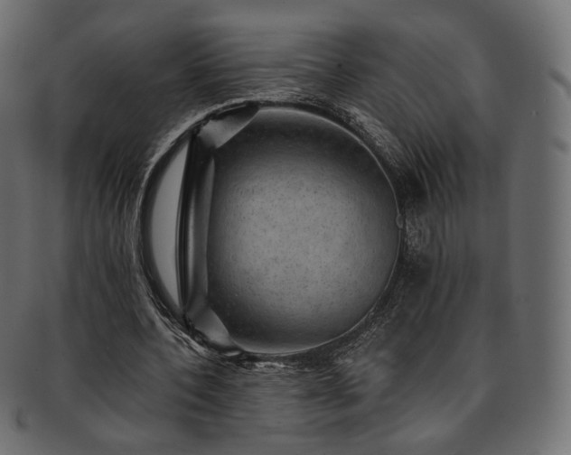 X0000093130532200709261350