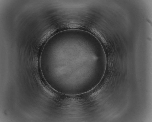 X0000093130533200709261350