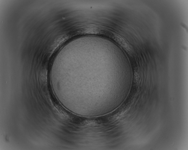 X0000093130534200709261350