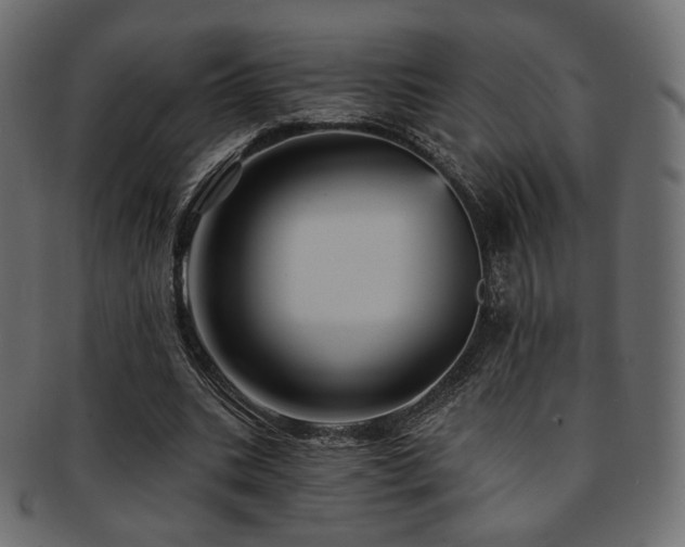 X0000093130535200709261350
