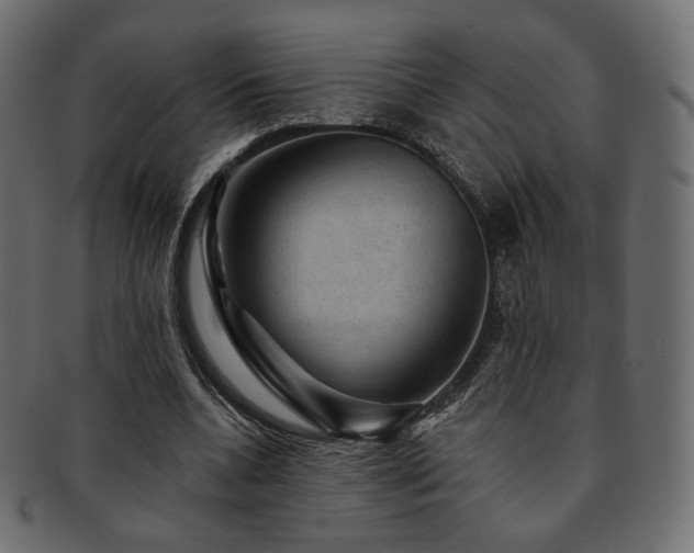 X0000093130536200709261350